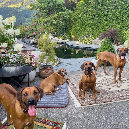 Ferienwohnung Waltensburg Breíl Esterno foto