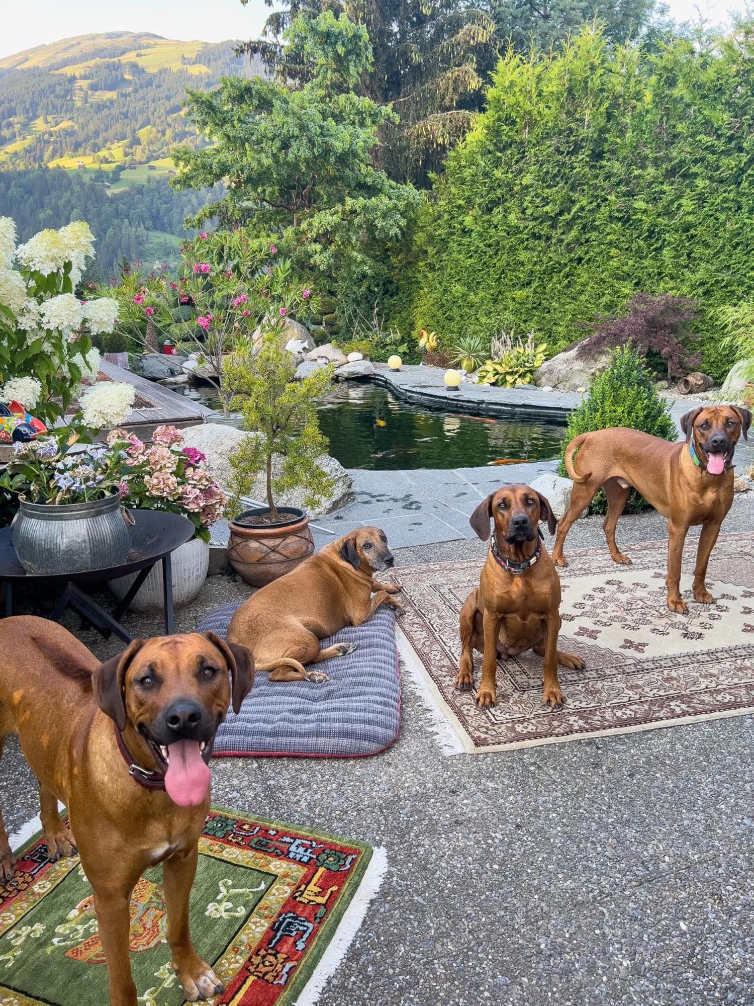 Ferienwohnung Waltensburg Breíl Esterno foto